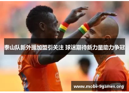 泰山队新外援加盟引关注 球迷期待新力量助力争冠